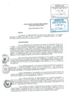 Vista preliminar de documento SG-017