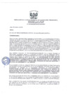 Vista preliminar de documento Res_CE_UGP_2019_010