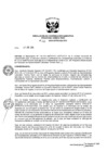 Vista preliminar de documento Res_Coord_Ejecutiva_2015_022