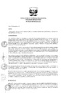 Vista preliminar de documento Res_Coord_Ejecutiva_2017_020