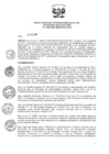 Vista preliminar de documento Res_Coord_Ejecutiva_2017_067