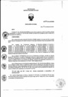 Vista preliminar de documento RJ Nº 346-2016