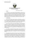 Vista preliminar de documento res_PE_041_2020
