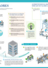 Vista preliminar de documento Infografía - ¿Qué se debe saber para invertir a través de la Bolsa de Valores?