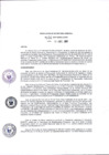 Vista preliminar de documento SG-080-2017
