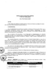 Vista preliminar de documento SG-007-2017