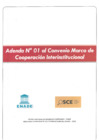 Vista preliminar de documento ENADE (Adenda N° 01)