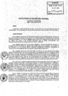 Vista preliminar de documento SG-039-2013