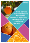 Vista preliminar de documento Guía-BPA Naranja.pdf