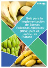 Vista preliminar de documento Guía-BPA Plátano.pdf