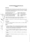 Vista preliminar de documento ACTA SESION N°23-2020