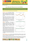 Vista preliminar de documento Boletín de Abastecimiento y Precios Mayoristas GMML y MM Nº2 -23/07/20