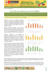 Vista preliminar de documento Boletín de Abastecimiento y Precios Mayoristas GMML y MM Nº2 -27/07/20