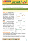 Vista preliminar de documento Boletín de Abastecimiento y Precios Mayoristas GMML y MM Nº2 -30/07/20