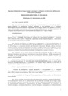 Vista preliminar de documento 2009