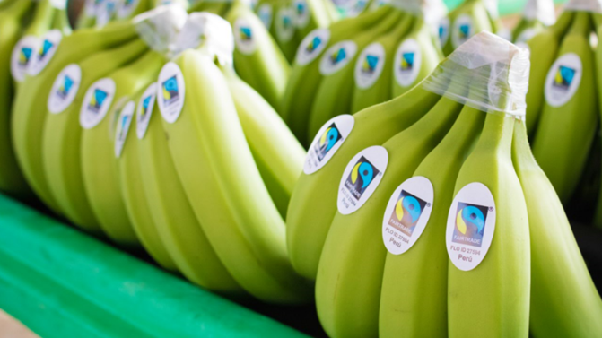 Banano orgánico