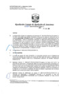 Vista preliminar de documento RCONAS-389-2020-PRODUCE-CONAS-UT