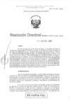Vista preliminar de documento RD-0004-2020-DGIA