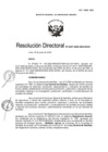 Vista preliminar de documento RD-0027-2020-DGIA