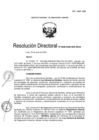 Vista preliminar de documento RD-0029-2020-DGIA