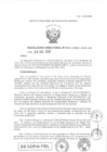 Vista preliminar de documento RD-0013-2020