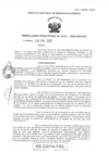 Vista preliminar de documento RD-0029-2020