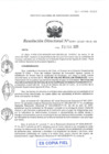 Vista preliminar de documento RD-0034-2020