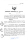 Vista preliminar de documento RD-0041-2020