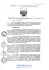 Vista preliminar de documento RGG-0007-2020