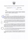 Vista preliminar de documento 251-2017-OSCE-PRE