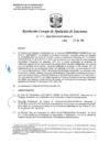 Vista preliminar de documento RCONAS-246-2020-PRODUCE-CONAS-CP