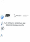 Vista preliminar de documento PLAN-DE-TRABAJO-2019-GORE-JUNIN