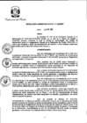 Vista preliminar de documento RA_010_2020_DP