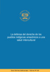 Vista preliminar de documento Informe-Defensorial-N-169