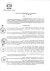 Vista preliminar de documento RA-042-2018-DP-PAD