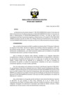 Vista preliminar de documento res_PE_053_2020