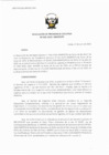 Vista preliminar de documento res_PE_066_2020