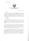 Vista preliminar de documento res_PE_067_2020