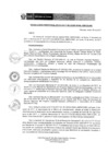 Vista preliminar de documento RD 015-2017-DE-UE005-PENL-VMPCICMC