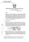 Vista preliminar de documento RCONAS-214-2020-PRODUCE-CONAS-1CT