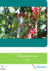 Vista preliminar de documento Norma de competencias: OBTENER SEMILLAS DE CAFÉ