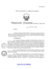 Vista preliminar de documento RD-0029-2017-DGIA
