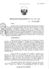 Vista preliminar de documento RD-0004-2017-DRGB