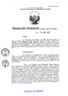 Vista preliminar de documento RD-0031-2017