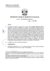 Vista preliminar de documento RCONAS-263-2020-PRODUCE-CONAS-CP