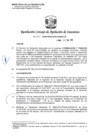 Vista preliminar de documento RCONAS-265-2020-PRODUCE-CONAS-CP