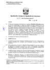 Vista preliminar de documento RCONAS-269-2020-PRODUCE-CONAS-CP