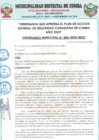 Vista preliminar de documento ORDENANZA PLAN DE ACCION CIUDADANIA