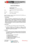 Vista preliminar de documento PAP 2020 (Aviso de Sinceramiento - II Trimestre 2020)