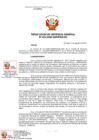 Vista preliminar de documento RGG 033-2020-SANIPES-GG